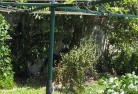 Clifton WAvegetable-gardens-13.jpg; ?>