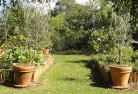 Clifton WAvegetable-gardens-3.jpg; ?>